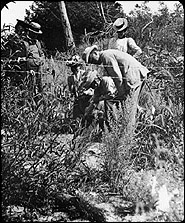 O.F.N.C. Collecting Aboriginal Pottery at Sand Banks, Prince Edward Co.